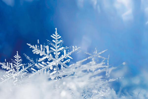 香港正牌资料大全