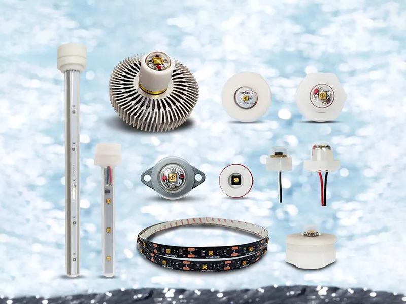 香港正牌资料大全