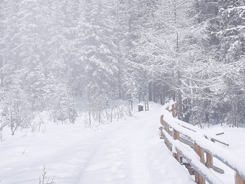 香港正牌资料大全