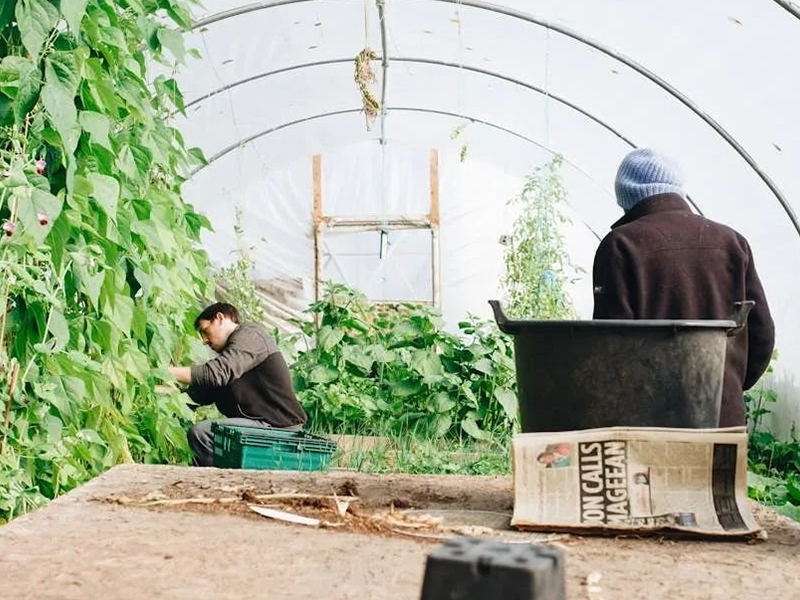 香港正牌资料大全