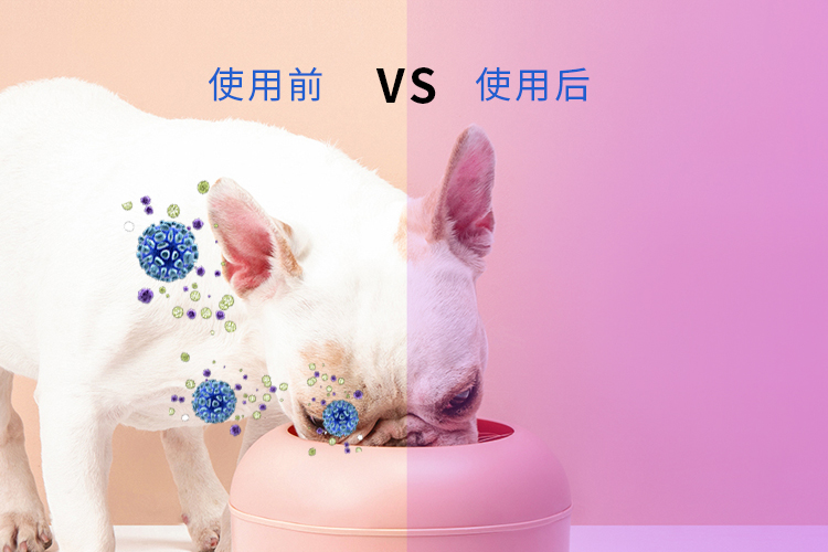 香港正牌资料大全