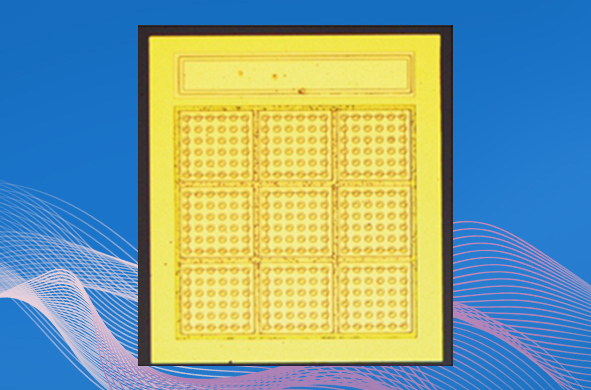 香港正牌资料大全