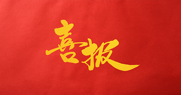 香港正牌资料大全