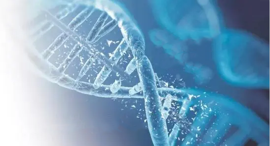 香港正牌资料大全