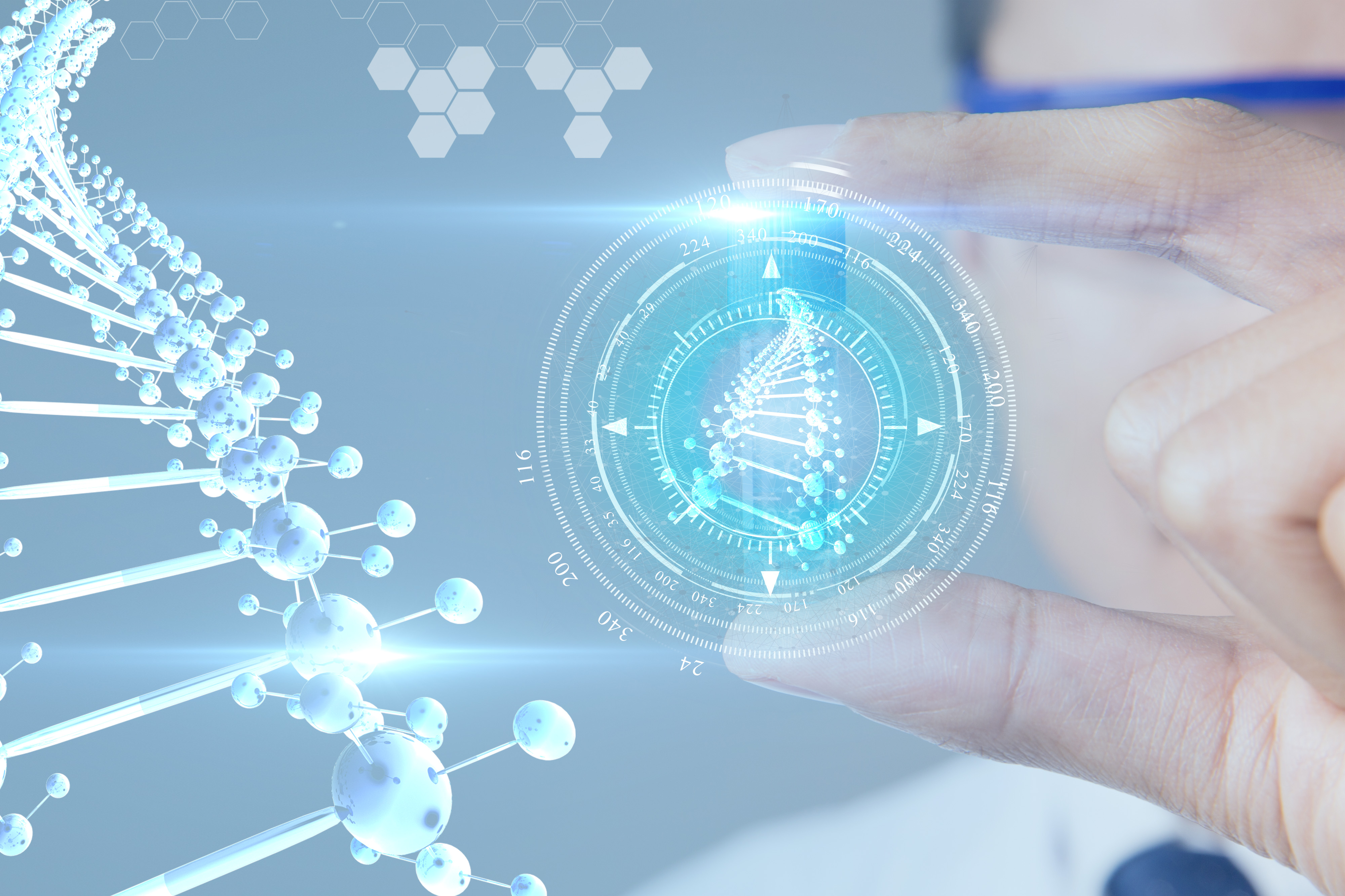 香港正牌资料大全