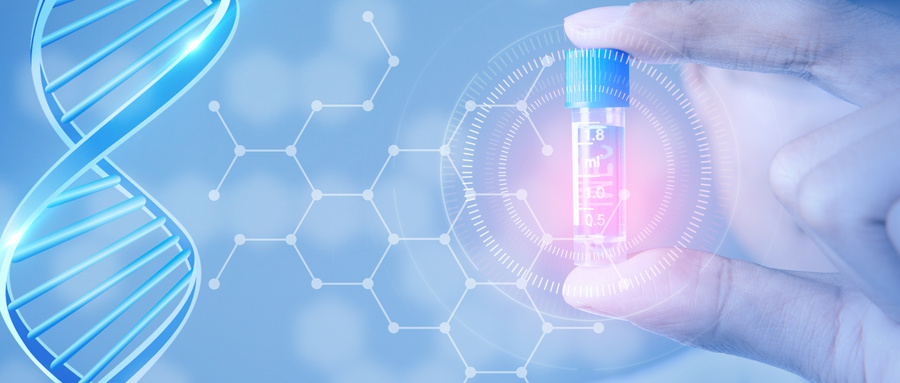 香港正牌资料大全