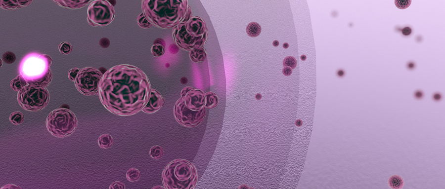 香港正牌资料大全