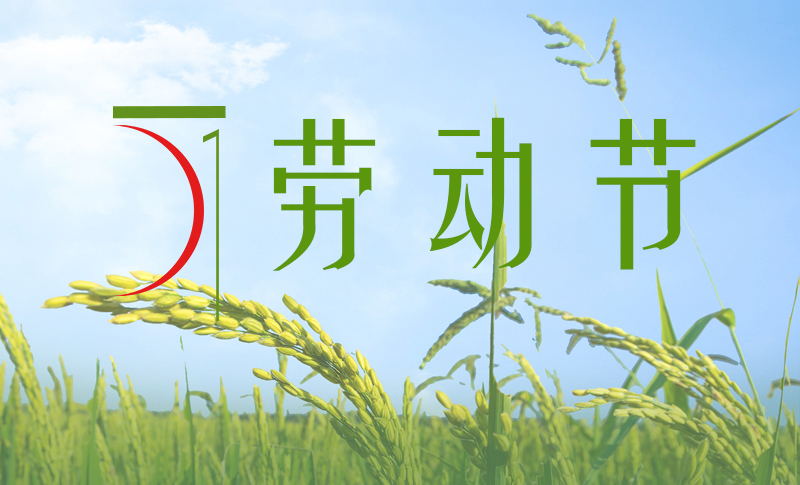 香港正牌资料大全