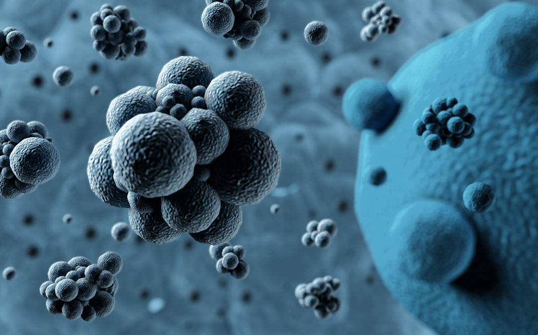 香港正牌资料大全