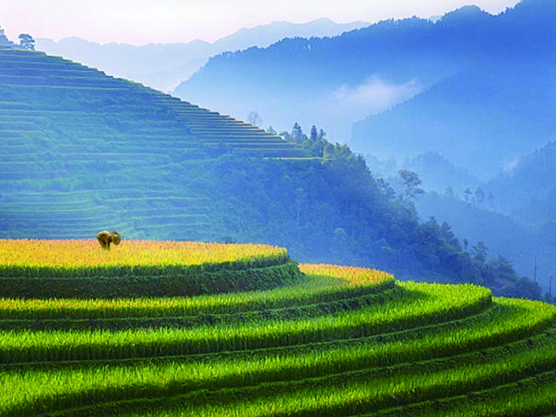 香港正牌资料大全