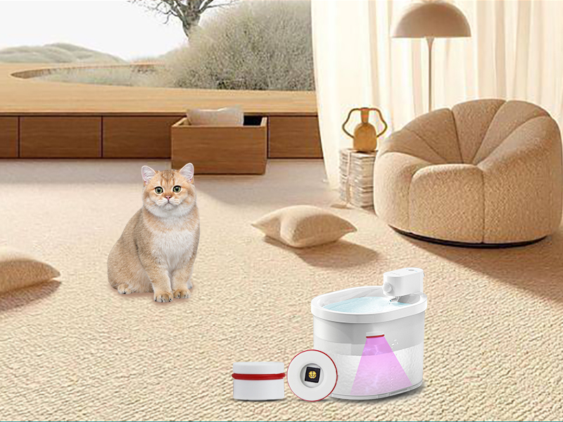 香港正牌资料大全