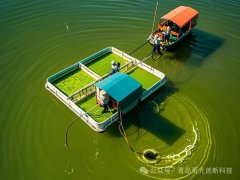 香港正牌资料大全